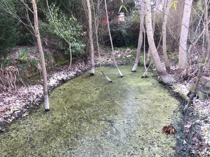 Quinta T3 para Venda em Rio Torto e Lagarinhos Foto 20