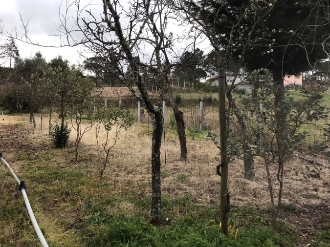 Quinta T3 para Venda em Rio Torto e Lagarinhos Foto 18