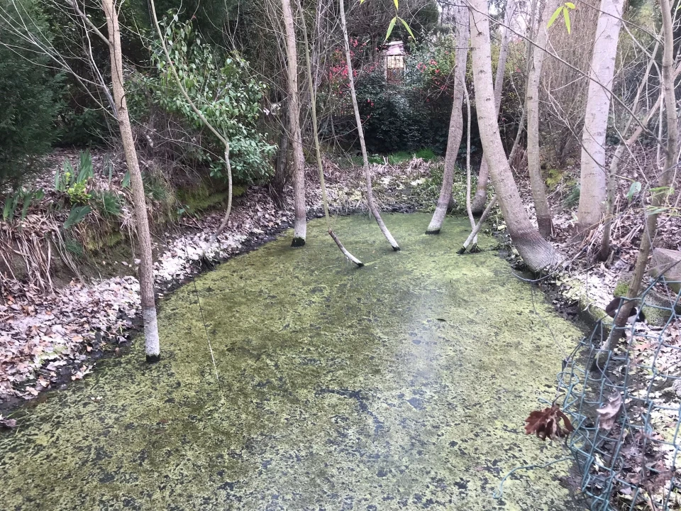 Quinta T3 para Venda em Rio Torto e Lagarinhos Foto 20