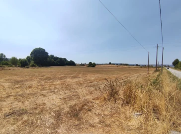 Quinta T0 para Venda em Melo e Nabais