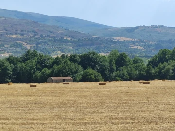 Quinta T0 para Venda em Melo e Nabais
