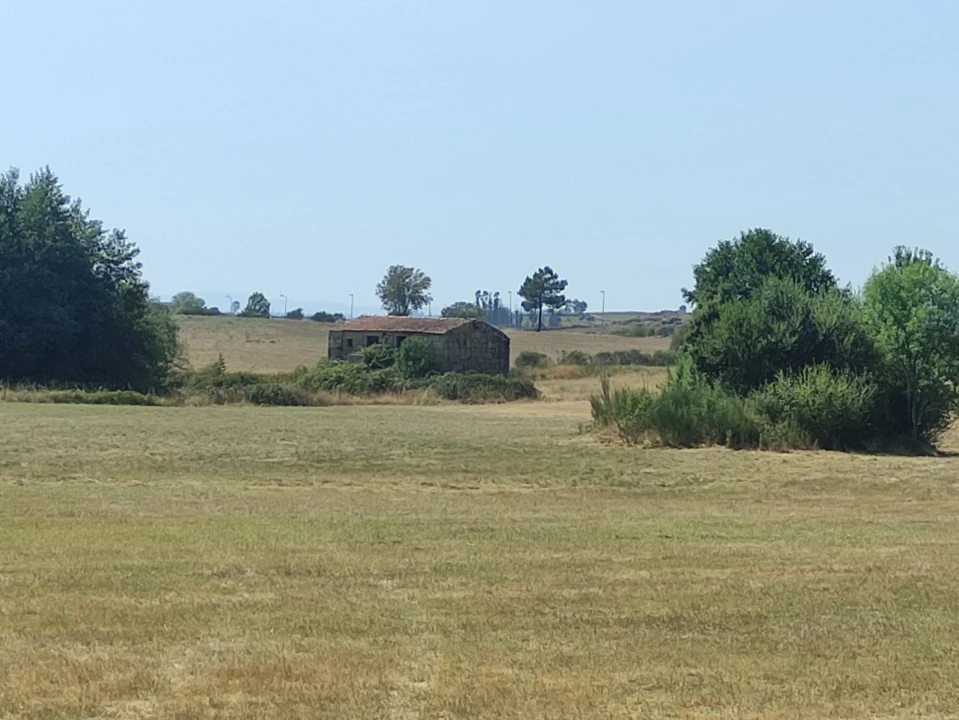 Quinta T0 para Venda em Melo e Nabais Foto 2