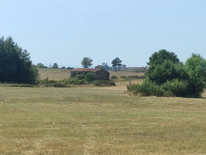 Quinta T0 para Venda em Melo e Nabais Foto 2