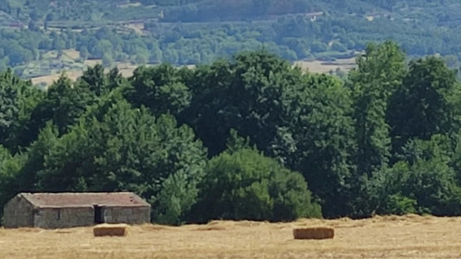 Quinta T0 para Venda em Melo e Nabais