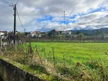 Terreno para Venda em Seia, São Romão e Lapa dos Dinheiros