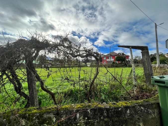 Terreno para Venda em Seia, São Romão e Lapa dos Dinheiros Foto 4
