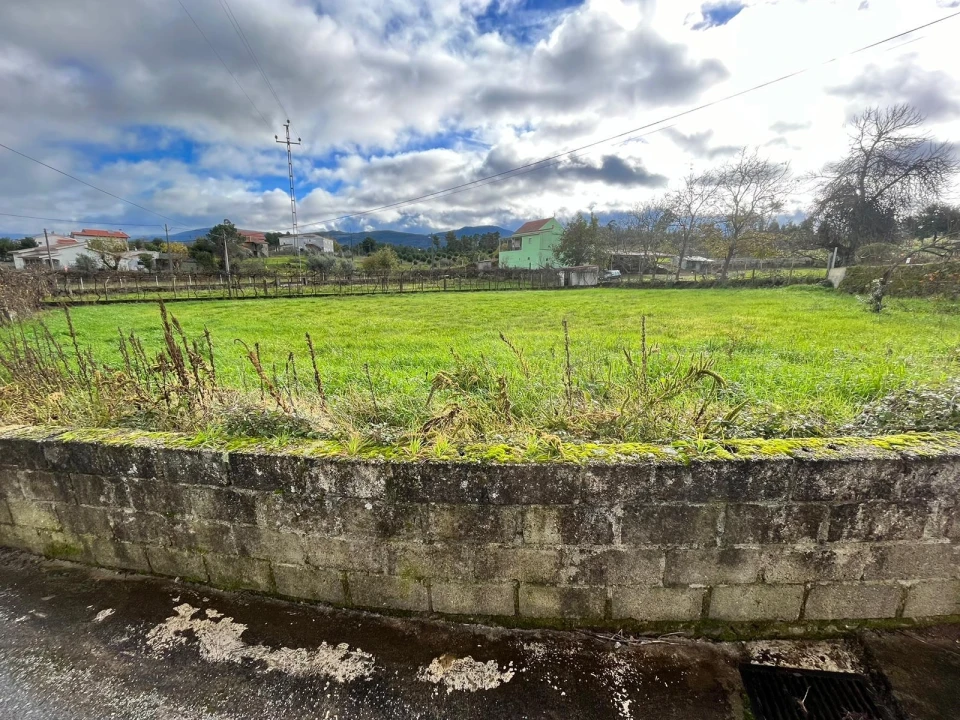 Terreno para Venda em Seia, São Romão e Lapa dos Dinheiros Foto 3