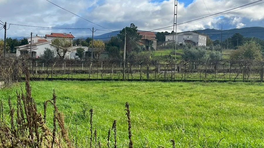 Terreno para Venda em Seia, São Romão e Lapa dos Dinheiros