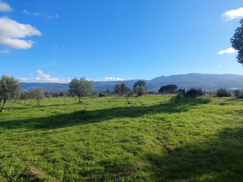 Quinta T0 para Venda em Ribamondego Foto 9