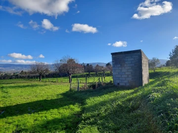 Quinta T0 para Venda em Ribamondego