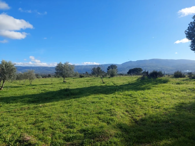 Quinta T0 para Venda em Ribamondego Foto 9