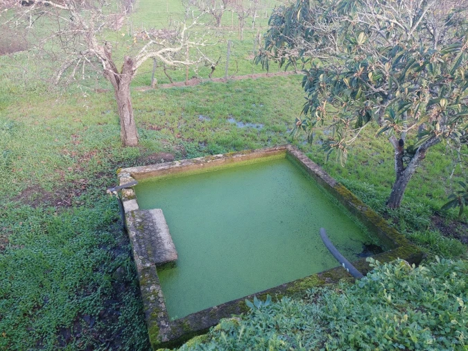 Quinta T0 para Venda em Ribamondego Foto 8