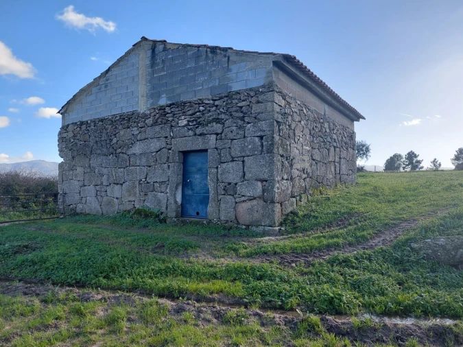 Quinta T0 para Venda em Ribamondego Foto 4