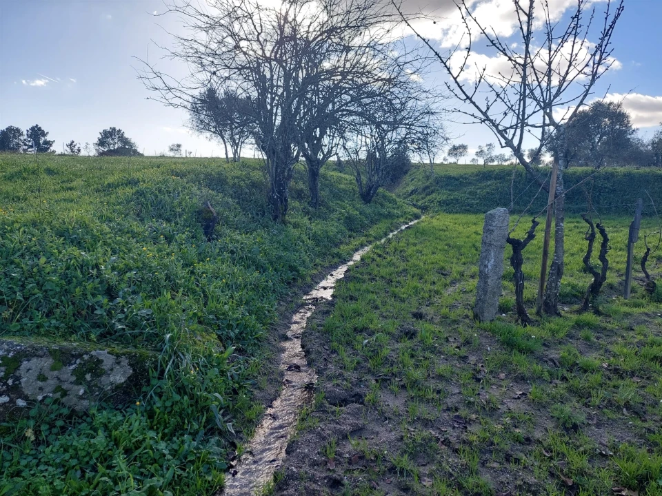 Quinta T0 para Venda em Ribamondego Foto 5