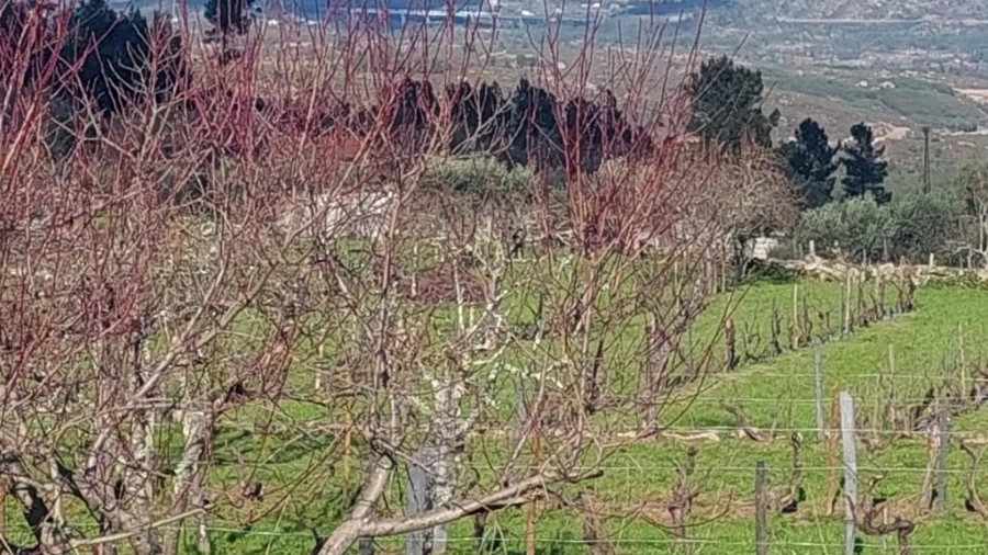 Quinta T0 para Venda em Ribamondego