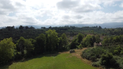 Quinta T0 para Venda em Rio Torto e Lagarinhos