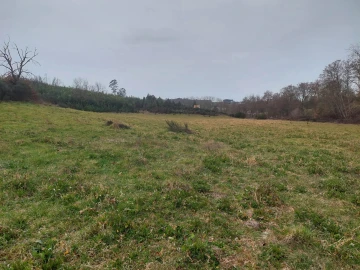 Quinta T0 para Venda em Rio Torto e Lagarinhos