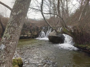 Quinta T0 para Venda em Rio Torto e Lagarinhos