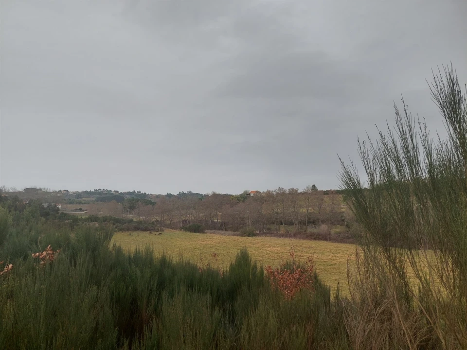Quinta T0 para Venda em Rio Torto e Lagarinhos Foto 5