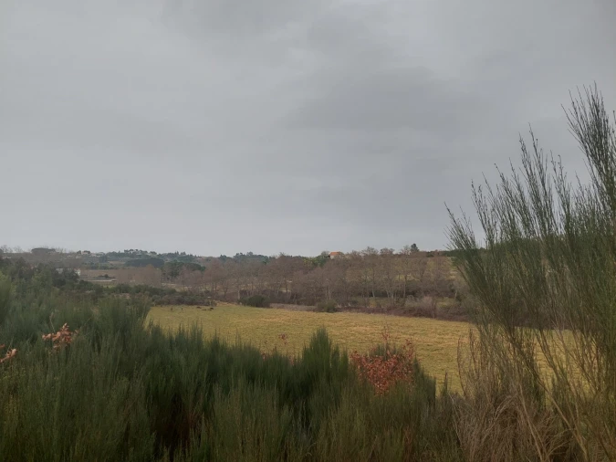 Quinta T0 para Venda em Rio Torto e Lagarinhos Foto 5