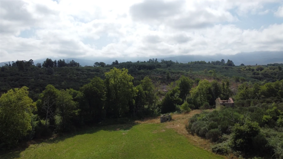 Quinta T0 para Venda em Rio Torto e Lagarinhos Foto 3
