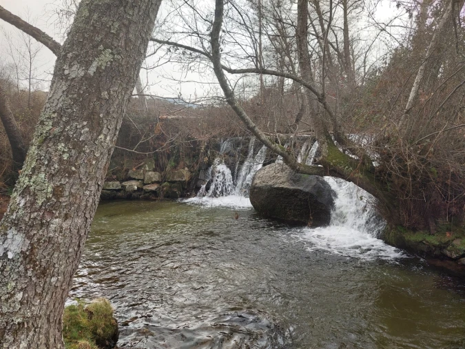 Quinta T0 para Venda em Rio Torto e Lagarinhos Foto 6