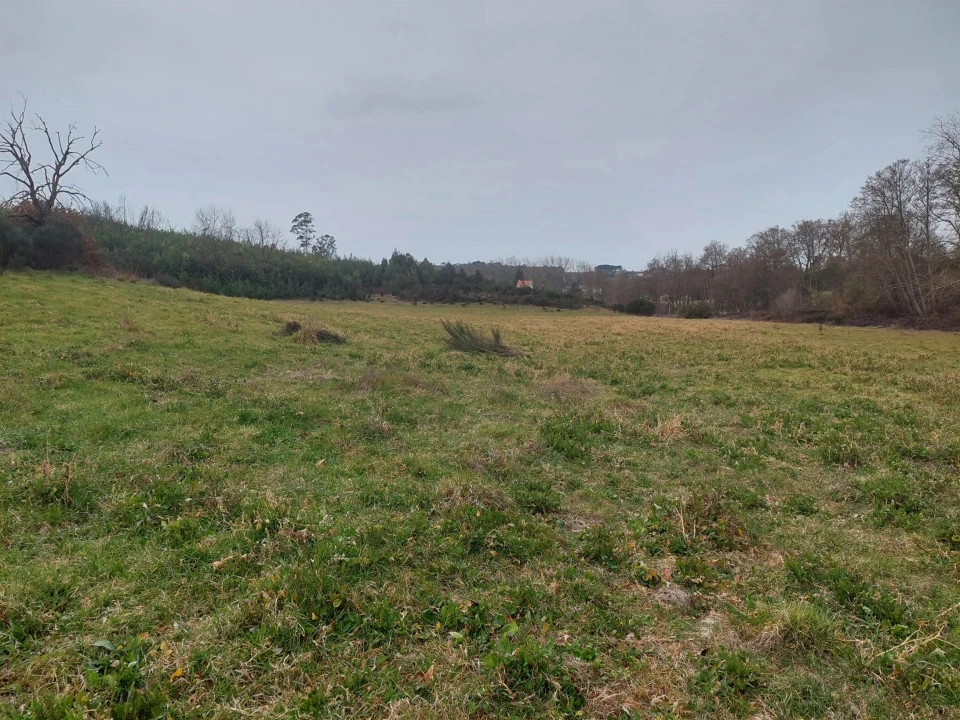 Quinta T0 para Venda em Rio Torto e Lagarinhos Foto 7