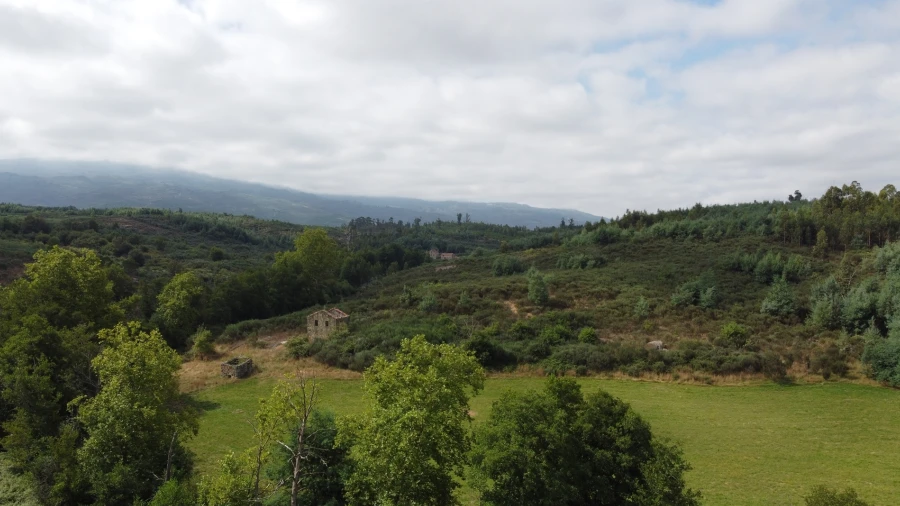 Quinta T0 para Venda em Rio Torto e Lagarinhos