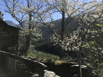 Quinta T0 para Venda em Vide e Cabeça