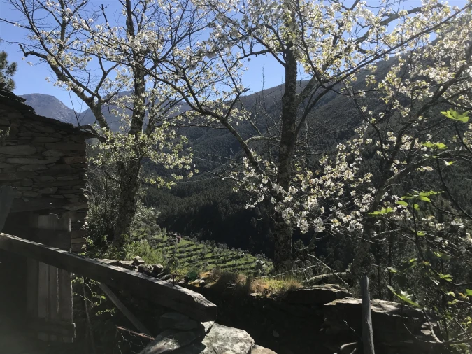 Quinta T0 para Venda em Vide e Cabeça Foto 5