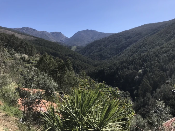 Quinta T0 para Venda em Vide e Cabeça Foto 4