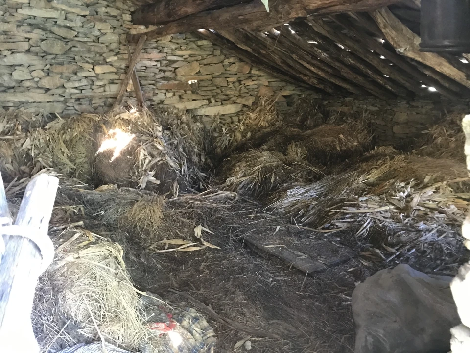 Quinta T0 para Venda em Vide e Cabeça Foto 3