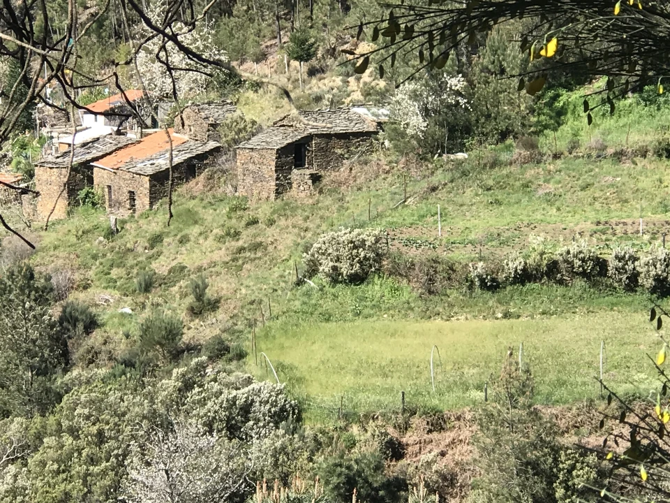 Quinta T0 para Venda em Loriga Foto 2