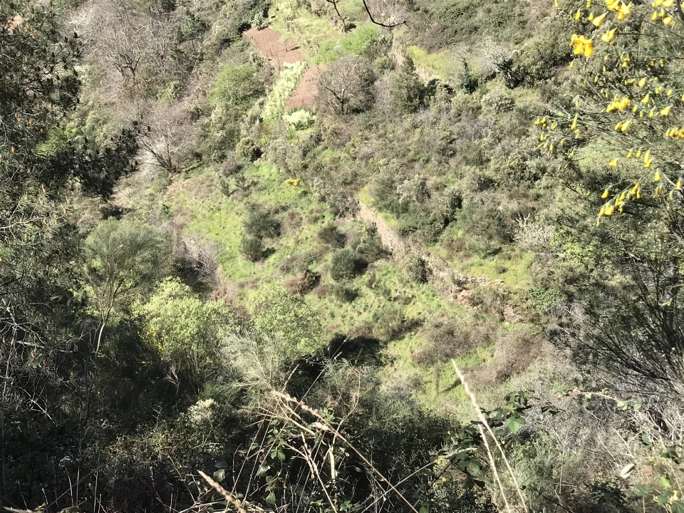 Quinta T0 para Venda em Loriga Foto 3