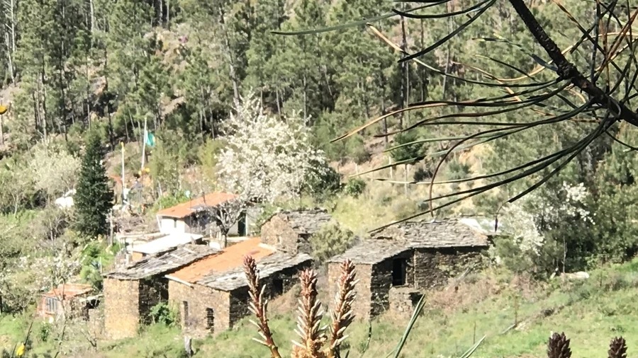 Quinta T0 para Venda em Loriga