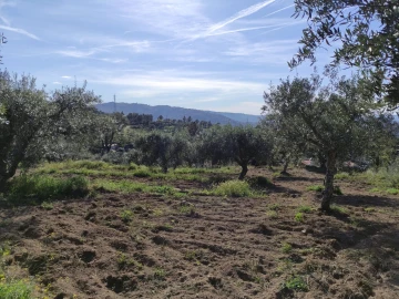 Quinta T0 para Venda em Sobral da Serra