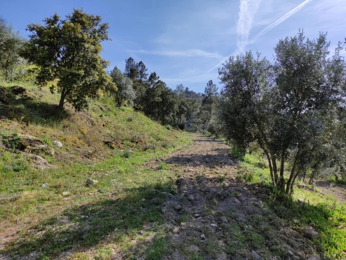 Quinta T0 para Venda em Sobral da Serra Foto 6