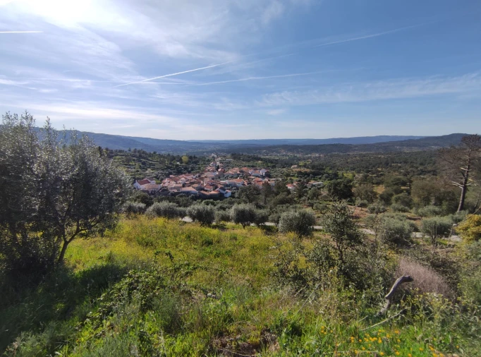Quinta T0 para Venda em Sobral da Serra Foto 9