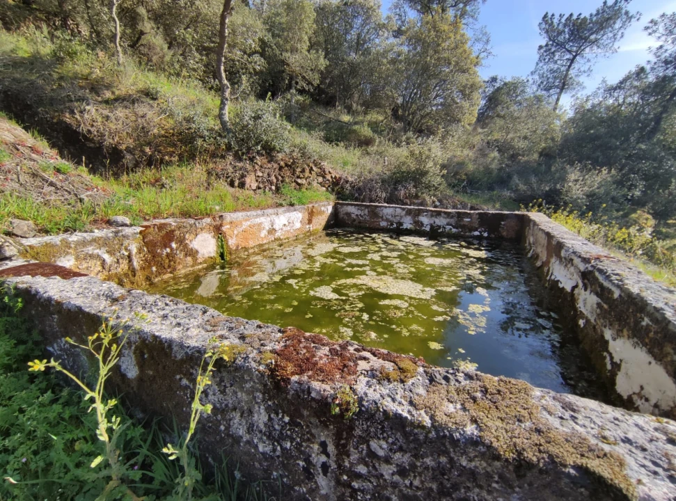 Quinta T0 para Venda em Sobral da Serra Foto 8