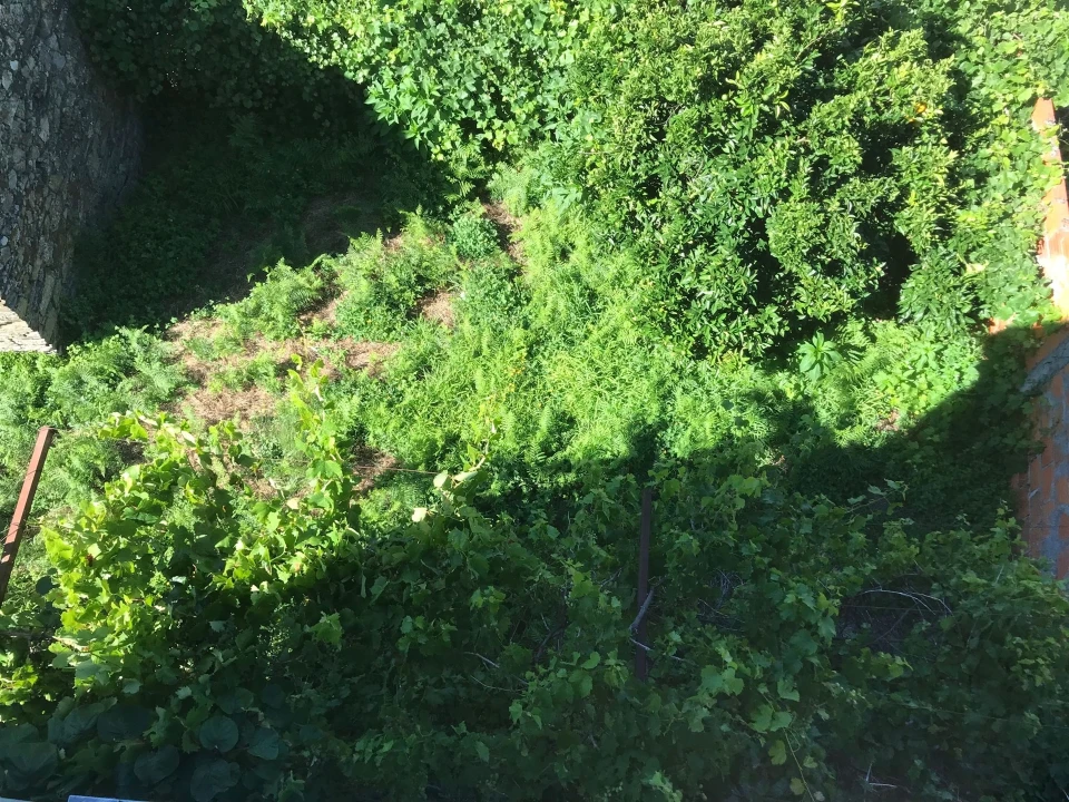 Moradia T0 para Venda em Vide e Cabeça Foto 8