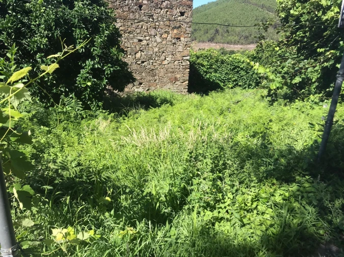 Moradia T0 para Venda em Vide e Cabeça Foto 7