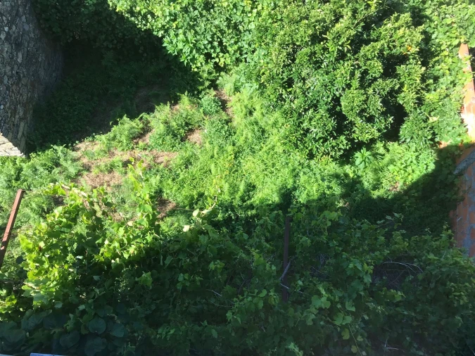 Moradia T0 para Venda em Vide e Cabeça Foto 8
