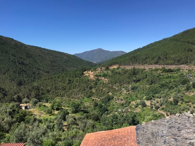 Moradia T0 para Venda em Vide e Cabeça Foto 10