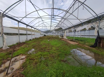 Quinta T0 para Venda em Vela