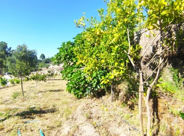 Quinta T0 para Venda em Vela