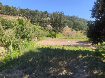 Quinta T0 para Venda em Vela