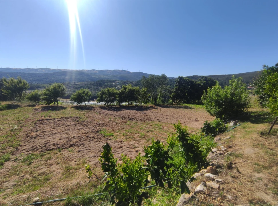 Quinta T0 para Venda em Vela Foto 10