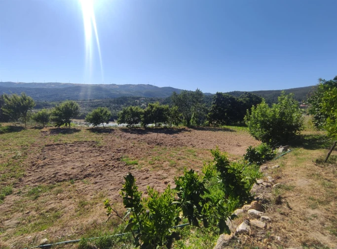 Quinta T0 para Venda em Vela Foto 10
