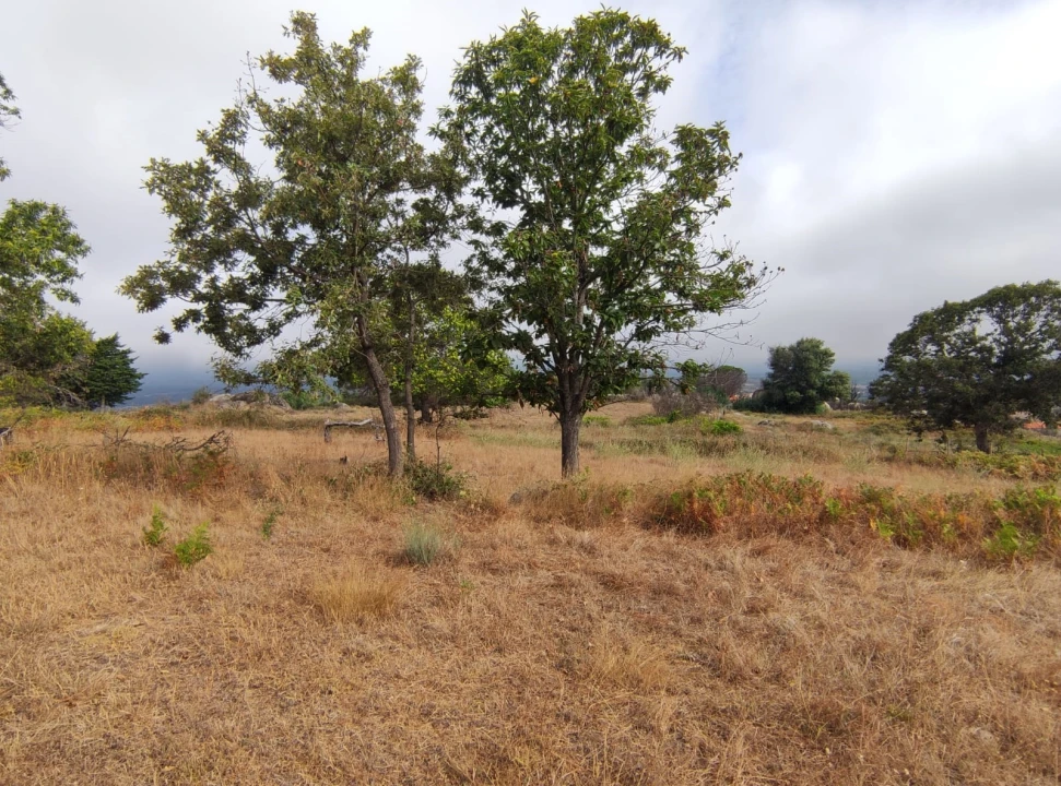 Quinta T0 para Venda em Figueiró da Serra e Freixo da Serra Foto 2
