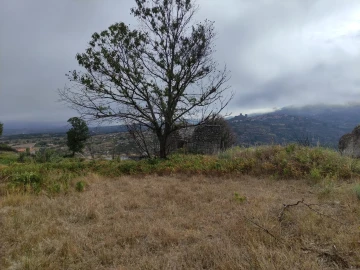 Quinta T0 para Venda em Figueiró da Serra e Freixo da Serra